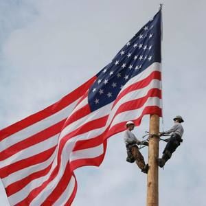 Meet your Posher, Wyatt